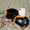 The no-pull bungee leash bundle from traindee outdoor in nature on a rock.