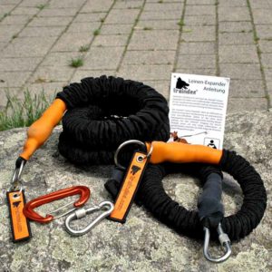 The no-pull bungee leash bundle from traindee outdoor in nature on a rock.