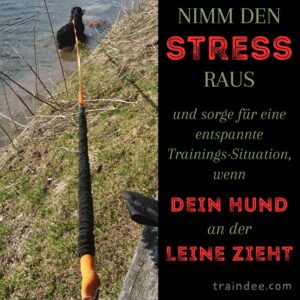 Stress-free leash training with traindee
