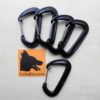 traindee® aluminium carabiner black 5pcs bundle for dog leash, dog sports, outdoor and running with company card