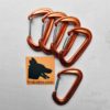 traindee® aluminium carabiner orange 5pcs bundle for dog leash, dog sports, outdoor and running with company card